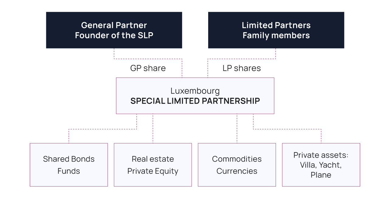 Special Limited Partnership - Family Trust